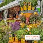Jardins Jardin aux Tuileries 2019