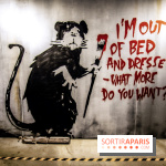 The World of Banksy : expérience immersive à l'Espace Lafayette-Drouot, les photos