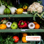 Créatures : le restaurant éphémère sur la terrasse des Galeries Lafayette, les photos