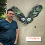 Les Papillons de C215