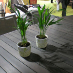 SANYO DIGITAL CAMERA           