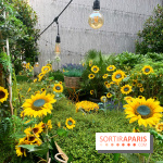 Jardin du Joy été 2019 