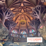 Visuels Disneyland Paris - château belle au bois dormant