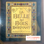 Visuels Disneyland Paris - château belle au bois dormant