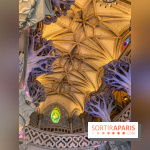 Visuels Disneyland Paris château