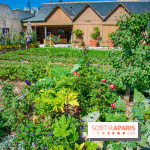 Le Château de Chambord fête ses 500 ans : le programme des festivités