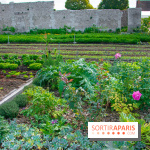 Le Château de Chambord fête ses 500 ans : le programme des festivités