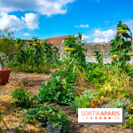 Le Château de Chambord fête ses 500 ans : le programme des festivités