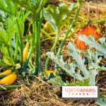 Le Château de Chambord fête ses 500 ans : le programme des festivités