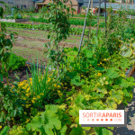 Le Château de Chambord fête ses 500 ans : le programme des festivités