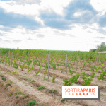 Le Château de Chambord fête ses 500 ans : le programme des festivités