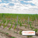 Le Château de Chambord fête ses 500 ans : le programme des festivités