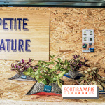 Urban Week 2019, le festival de street culture à La Défense 