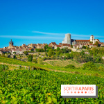 Le Château de Vault-de-Lugny - excursions dans la région