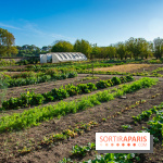 Le Château de Vault-de-Lugny, un écrin royal à deux heures de Paris
