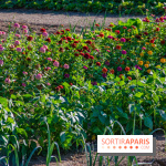 Le Château de Vault-de-Lugny, un écrin royal à deux heures de Paris
