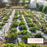 Le Château de Vault-de-Lugny, un écrin royal à deux heures de Paris