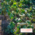 Le Château de Vault-de-Lugny, un écrin royal à deux heures de Paris