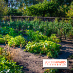 Le Château de Vault-de-Lugny, un écrin royal à deux heures de Paris