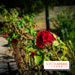 Le Château de Vault-de-Lugny, un écrin royal à deux heures de Paris