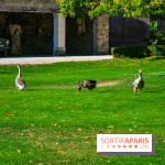 Le Château de Vault-de-Lugny, un écrin royal à deux heures de Paris