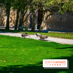 Le Château de Vault-de-Lugny, un écrin royal à deux heures de Paris