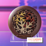 Les Bûches de Noël de la Maison du Chocolat, les photos