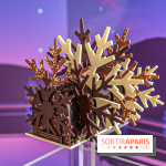 Les Bûches de Noël de la Maison du Chocolat, les photos