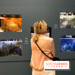 Degas à l'Opéra, l'exposition au Musée d'Orsay