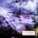 Bar le Scilicet, les photos