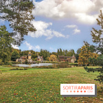 Le parcours des Arbres Admirables dans le domaine du château de Versailles