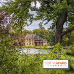 Le parcours des Arbres Admirables dans le domaine du château de Versailles