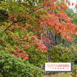 Le parcours des Arbres Admirables dans le domaine du château de Versailles