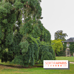 Le parcours des Arbres Admirables dans le domaine du château de Versailles