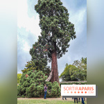 Le parcours des Arbres Admirables dans le domaine du château de Versailles