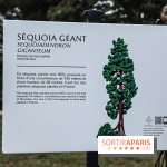 Le parcours des Arbres Admirables dans le domaine du château de Versailles