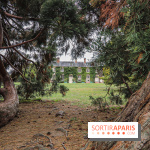 Le parcours des Arbres Admirables dans le domaine du château de Versailles