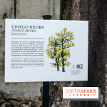 Le parcours des Arbres Admirables dans le domaine du château de Versailles