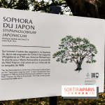 Le parcours des Arbres Admirables dans le domaine du château de Versailles