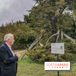 Le parcours des Arbres Admirables dans le domaine du château de Versailles
