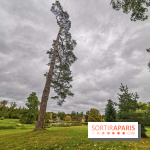 Le parcours des Arbres Admirables dans le domaine du château de Versailles