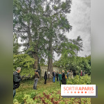 Le parcours des Arbres Admirables dans le domaine du château de Versailles
