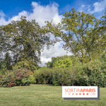 Le parcours des Arbres Admirables dans le domaine du château de Versailles