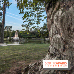 Le parcours des Arbres Admirables dans le domaine du château de Versailles