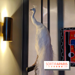 Vincent Darré x Cointreau