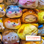 Paris Manga et Sci-Fi Show octobre 2019, programme et animations