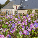 Le Jardin de l'Automne du Château de Cheverny
