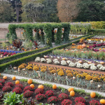 Le Jardin de l'Automne du Château de Cheverny