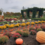 Le Jardin de l'Automne du Château de Cheverny