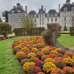 Le Jardin de l'Automne du Château de Cheverny
